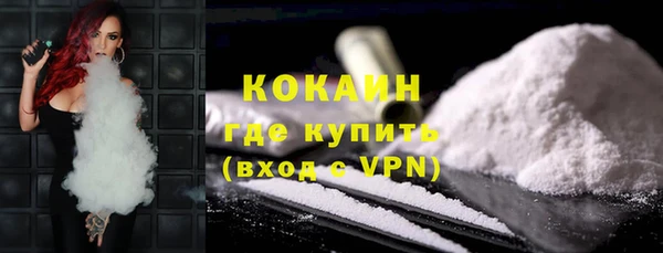 амф Новозыбков