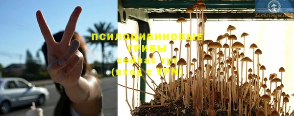 мяу мяу мука Нефтегорск