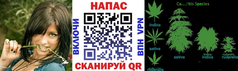 Каннабис Bruce Banner  Кадников 